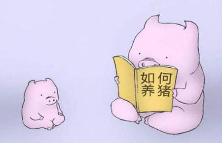 生豬禁養(yǎng)的背后，是一個個大型豬場的崛起！