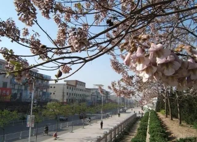 河南這11個縣(市)被國家看上 將獲重點扶持