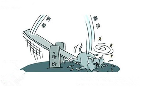 屠宰企業(yè)日屠宰量仍在較低水平 壓價意愿強