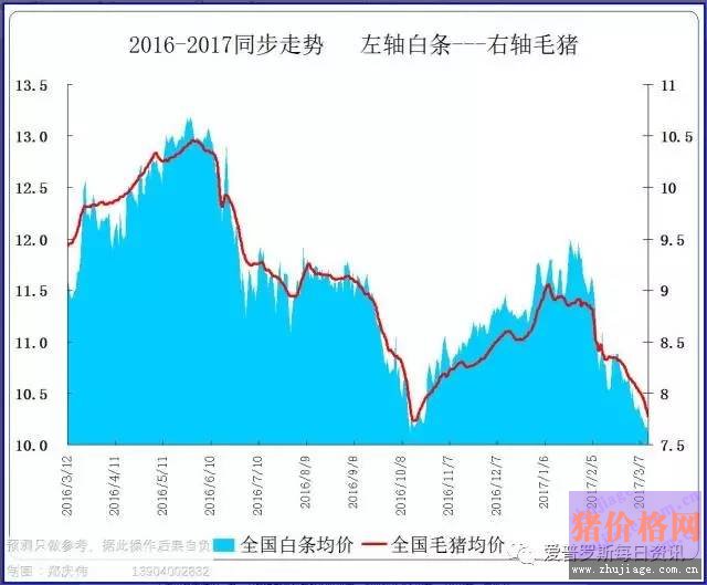 一邊白條掉價，一邊毛豬價格反彈，這是要上演鴻門宴么？