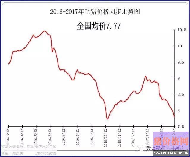 一邊白條掉價，一邊毛豬價格反彈，這是要上演鴻門宴么？