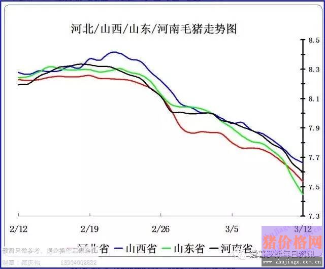 一邊白條掉價，一邊毛豬價格反彈，這是要上演鴻門宴么？