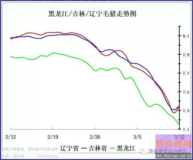 一邊白條掉價，一邊毛豬價格反彈，這是要上演鴻門宴么？