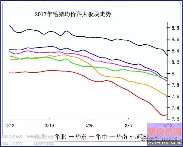 一邊白條掉價，一邊毛豬價格反彈，這是要上演鴻門宴么？