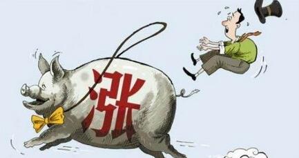 清明前豬價(jià)能漲到多少？主要看這些……