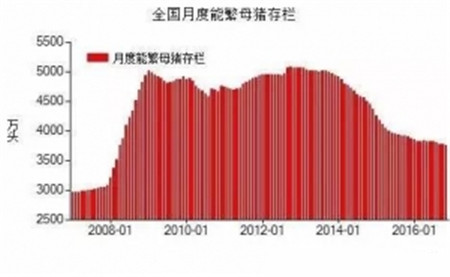 句句在理，有圖有真相！近五年生豬生產(chǎn)形勢(shì)分析