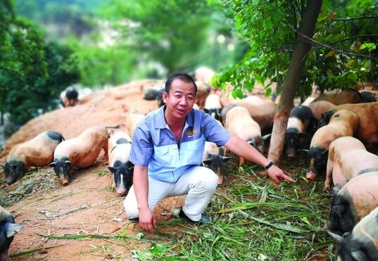 QQ截圖20170526085559.jpg