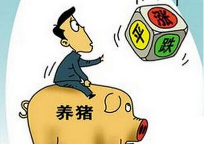 專家：豬價(jià)不存在大幅下跌的可能，但這3點(diǎn)需要注意！