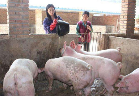 五個趨勢告訴我們：距離精準(zhǔn)畜牧養(yǎng)殖還有多遠(yuǎn)