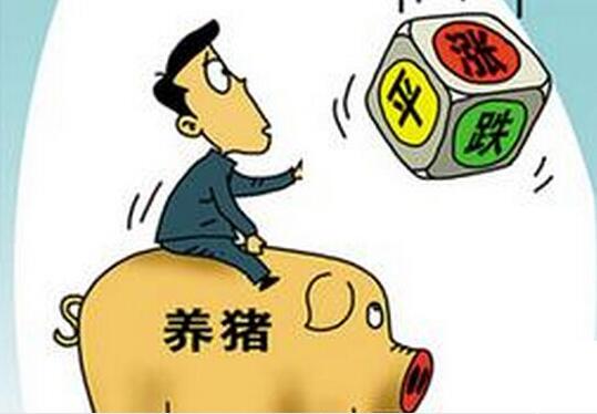 豬價(jià)上漲，想誘惑我？沒(méi)門(mén)！