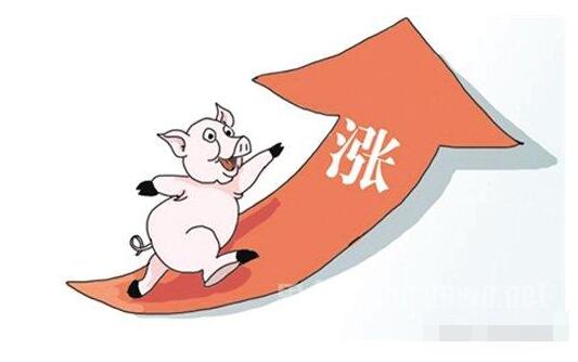 夏季豬價(jià)：此刻有多瘋狂，后面就會(huì)有多大的坑！