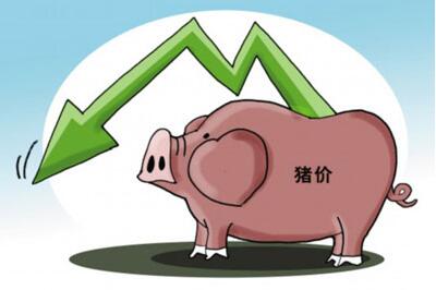 為何業(yè)內(nèi)認為下半年豬價難有起色?