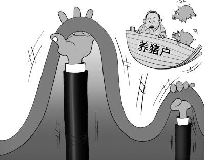 2017年豬價走勢極其反常，到底是什么原因打壓了豬市？