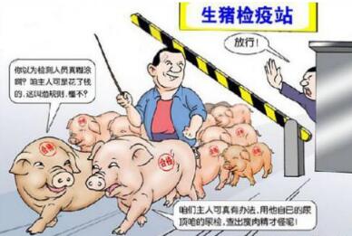 狼來(lái)了！低價(jià)洋豬肉已侵占國(guó)內(nèi)市場(chǎng)，養(yǎng)豬人將如何面對(duì)？