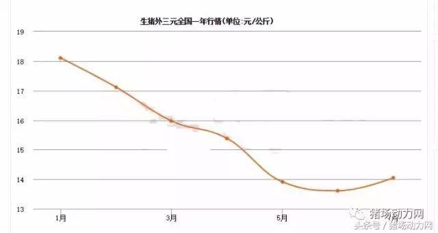 近期豬價(jià)有兩大利好因素 能繁母豬今年將存75萬(wàn)缺口