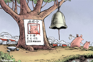 禁養(yǎng)進(jìn)行時！一刀切做法讓養(yǎng)豬勞動模范也感走投無路