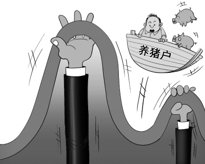 今年豬價將和5年前一樣下半年反彈？事實將令人震驚