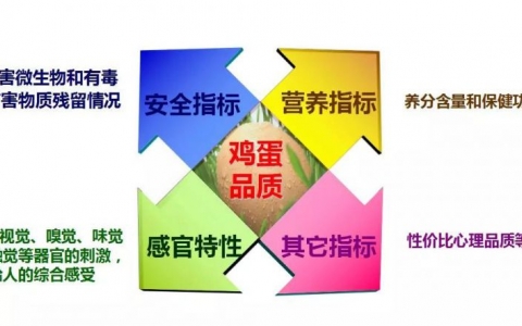徐桂云：評價(jià)蛋品質(zhì)量的主要因素