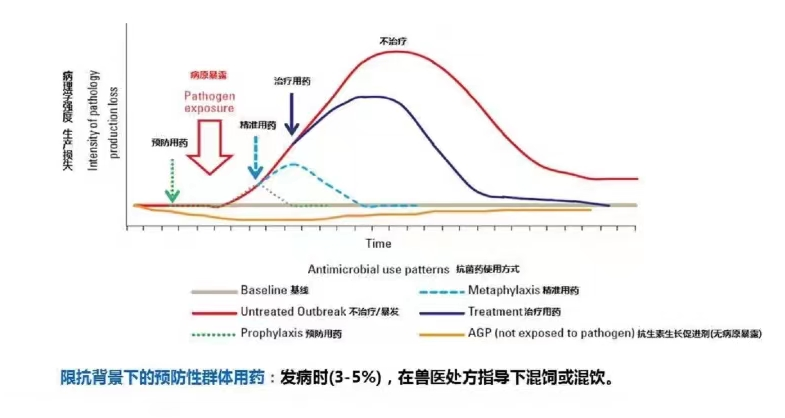 中國養(yǎng)豬網(wǎng)