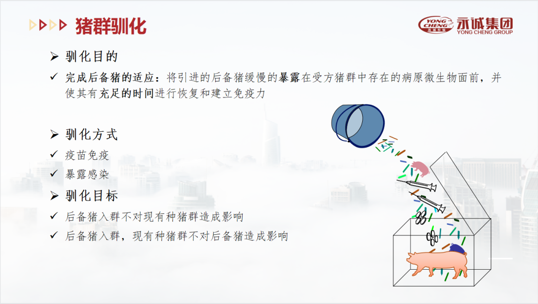 中國養(yǎng)豬網(wǎng)