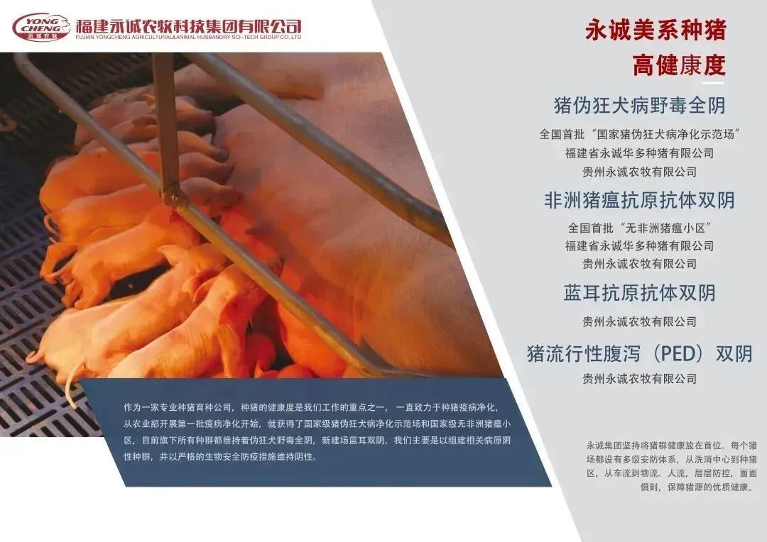 中國養(yǎng)豬網(wǎng)