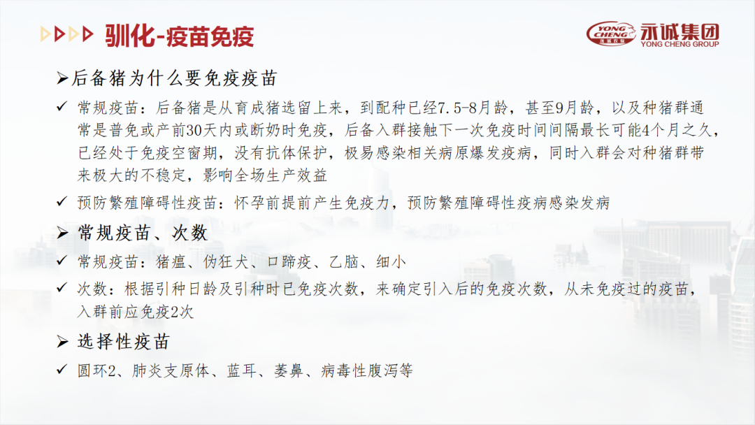 中國養(yǎng)豬網(wǎng)