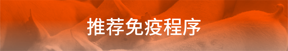 1625279865739011.png 07.png